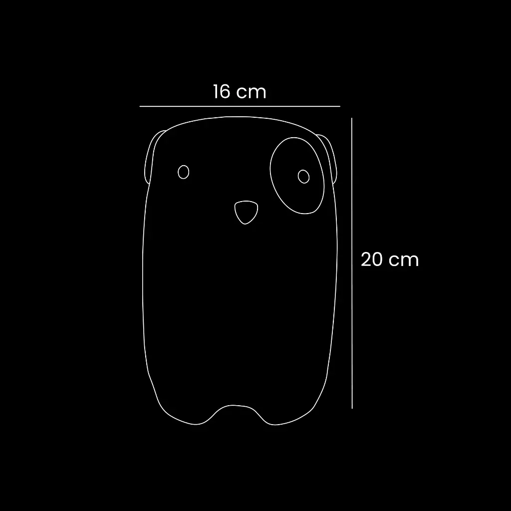 2- Bongo (1).webp