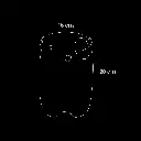 2- Bongo (1).webp