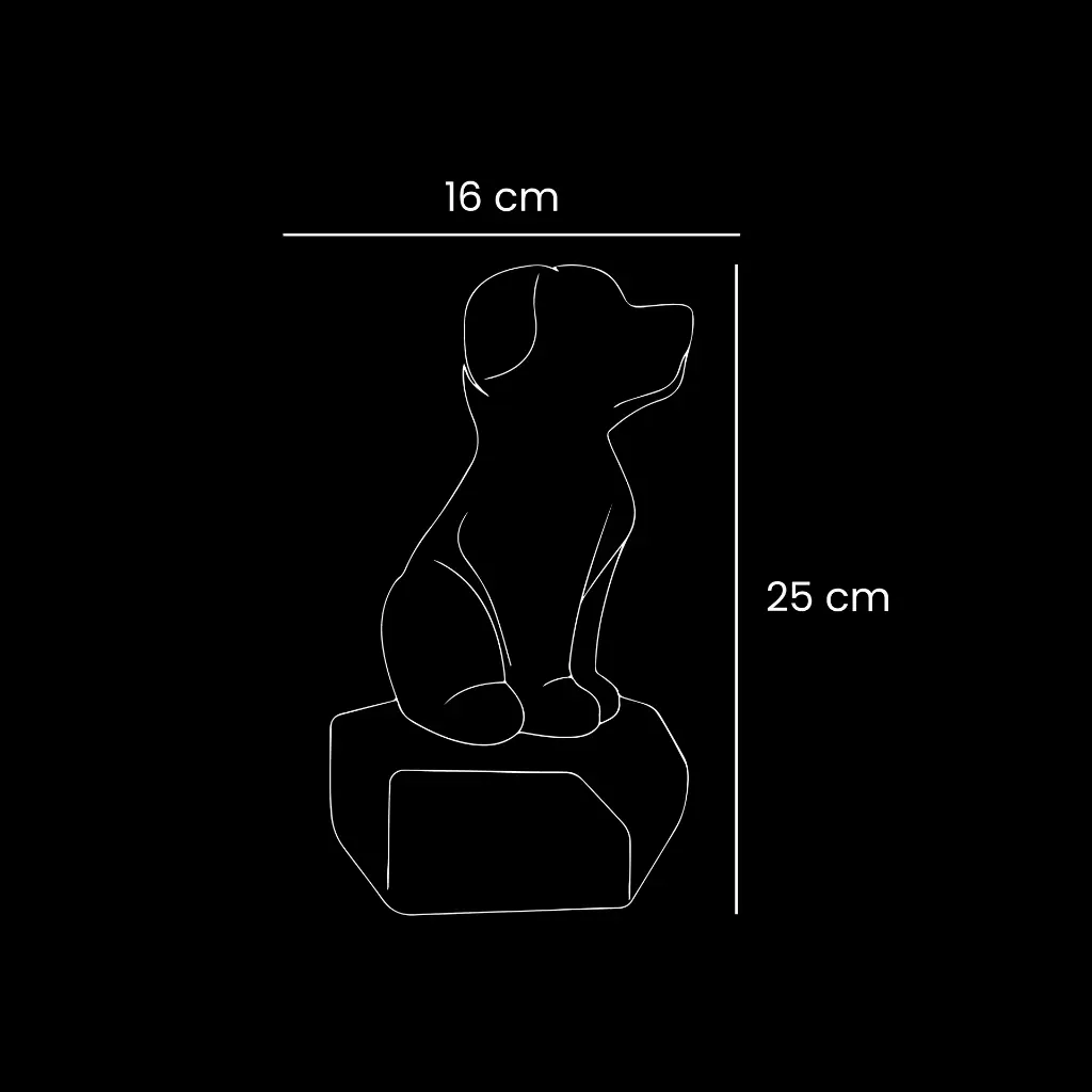 1- urna cooper (1).webp