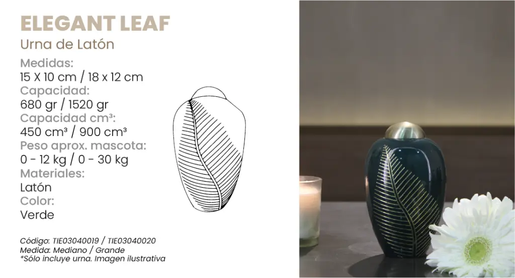 Elegant Leaf.webp