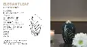 Elegant Leaf.webp