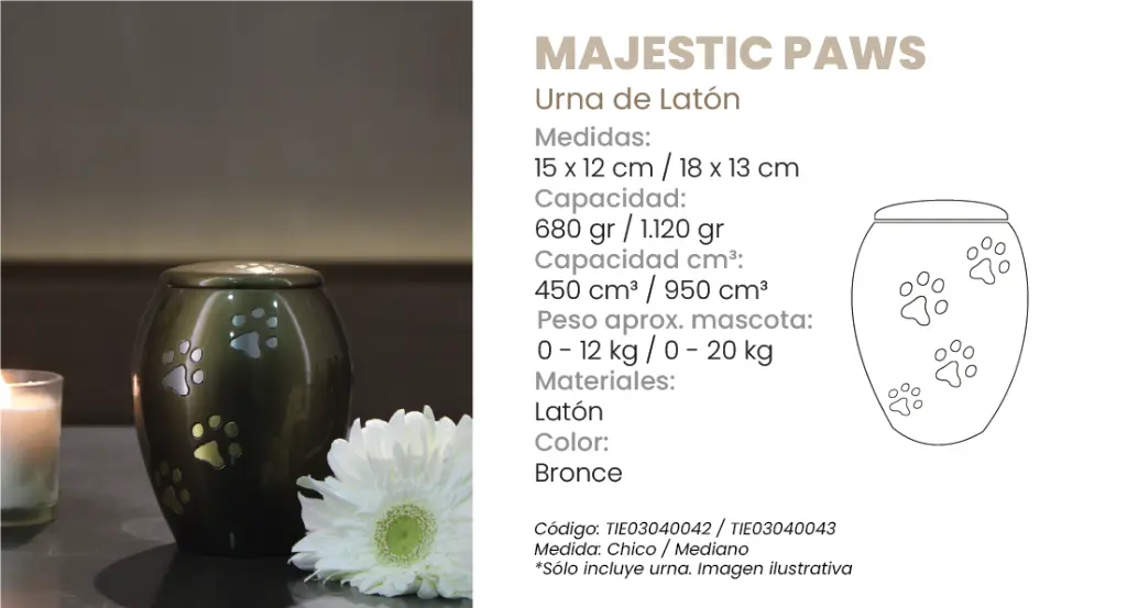majestic paw.webp