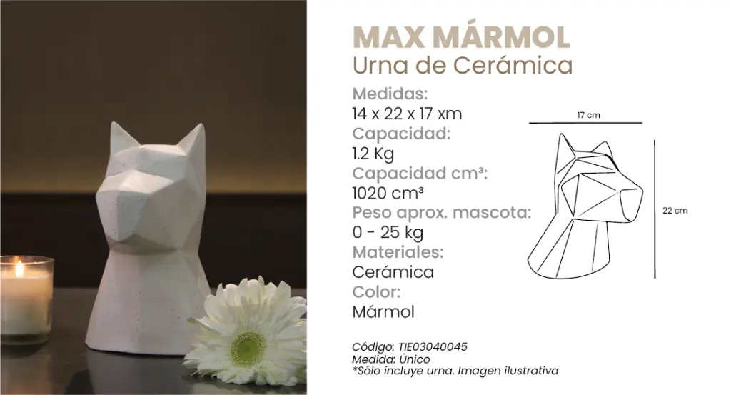 Max.webp