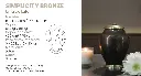Simplicity bronze.webp