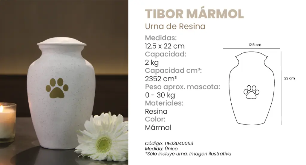 tibor.webp