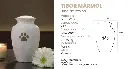 tibor.webp