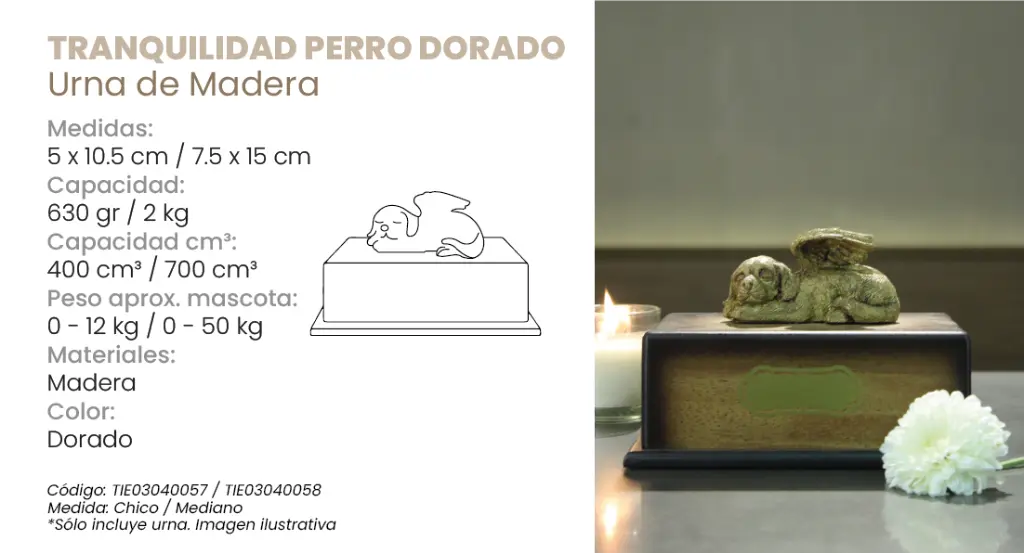 Tranquilidad perro.webp