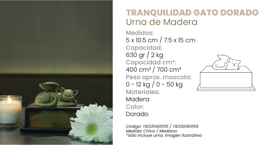 Tranquilidad gato.webp
