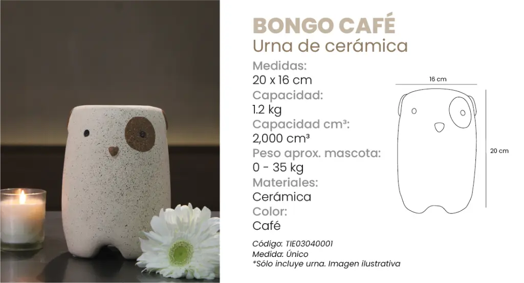 Bongo Cafe.webp