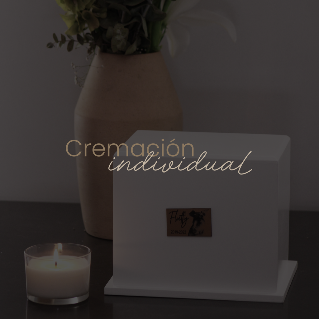 Cremación individual