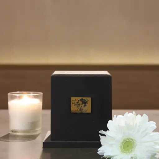 [SCR010530A] Eternal box CH (Negro)