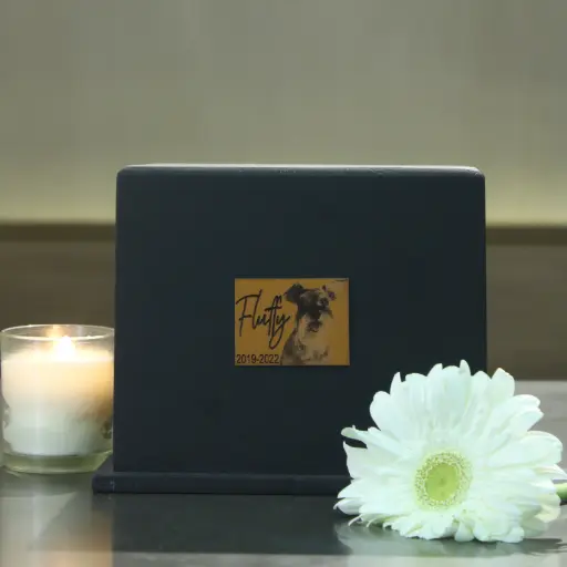 [SCR010640A] Eternal box G (Negro)