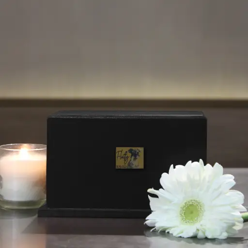 [SCR010730A] Eternal box M (Negro)