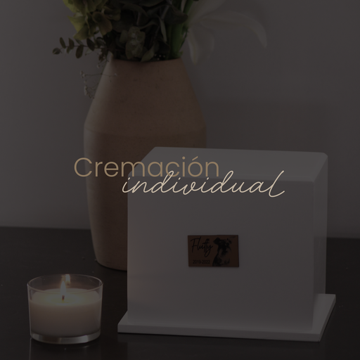 Cremación individual
