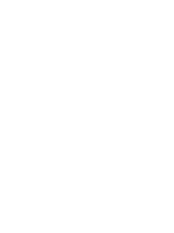 Friendara logo